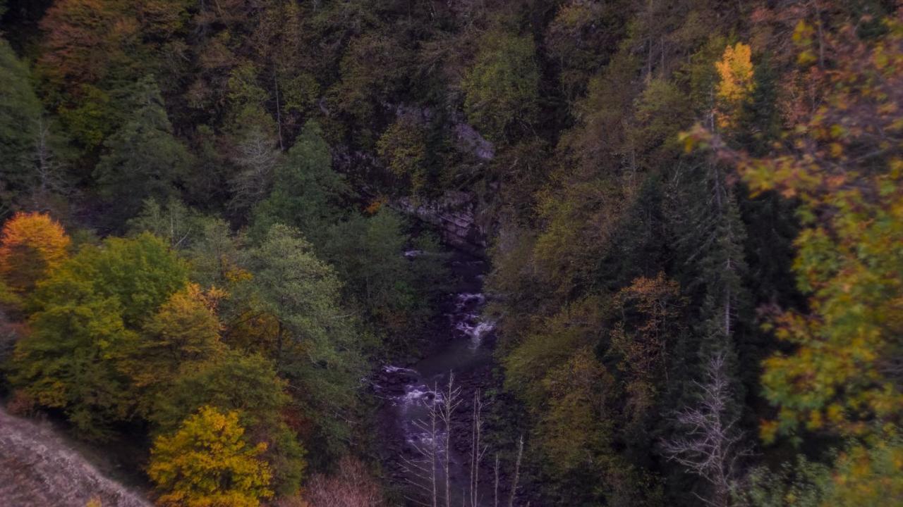 Landhaus Borjomi Eksteriør bilde