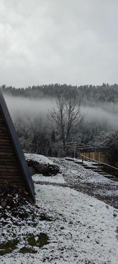 Landhaus Borjomi Eksteriør bilde