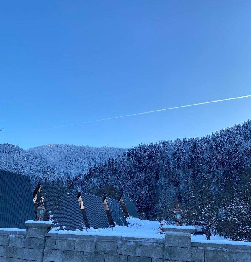 Landhaus Borjomi Eksteriør bilde
